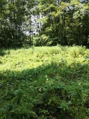 Soustavy tůní v okolí Bystřice